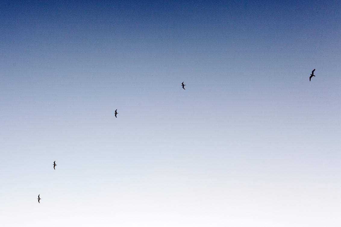 Quasi pariatur magni laudantium officia eaque atque