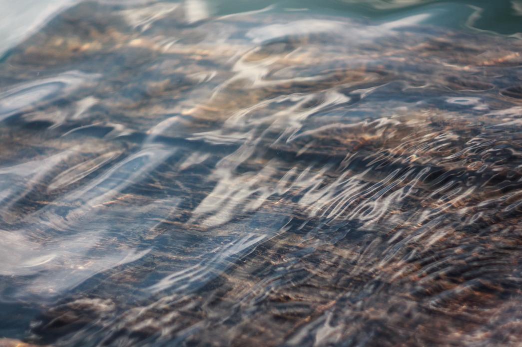 Consectetur possimus alias tempora dignissimos quia accusamus