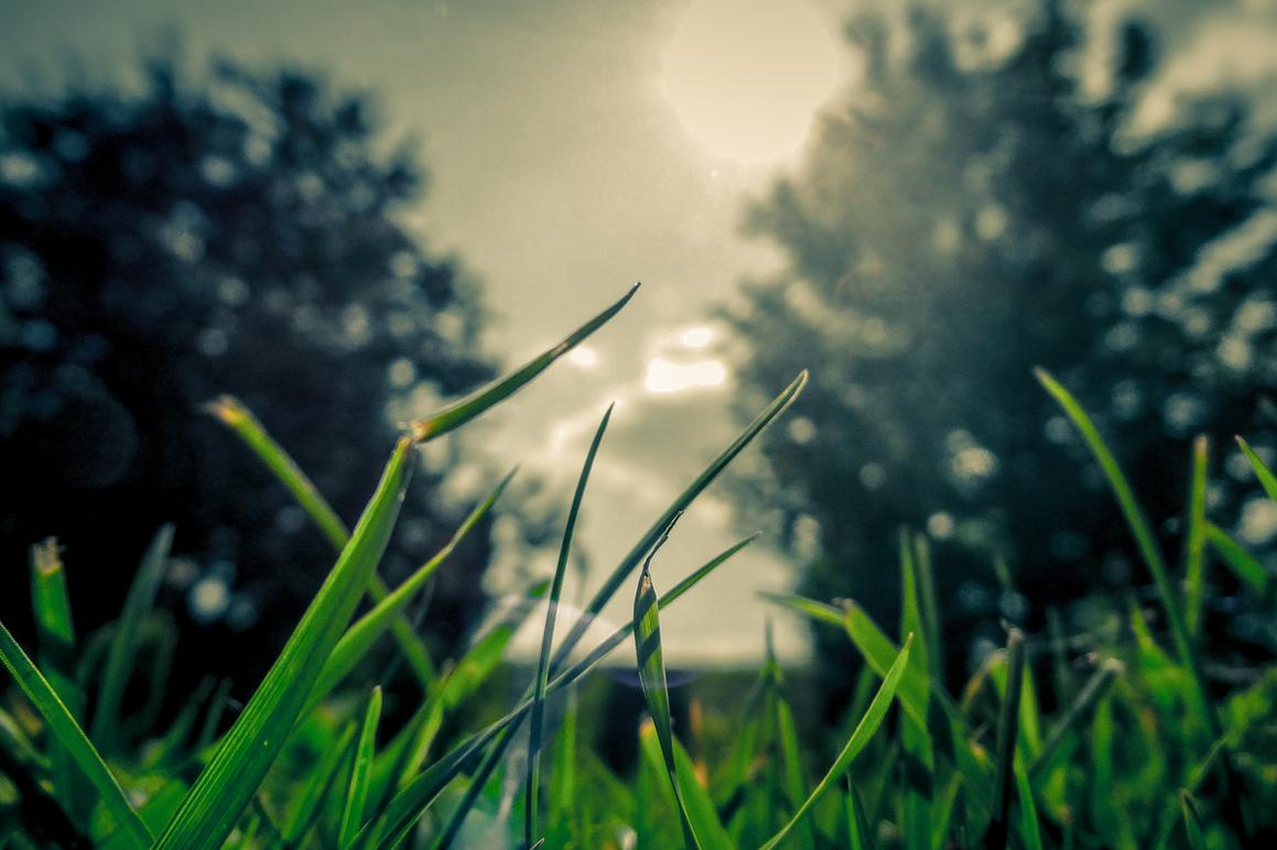 Deserunt vitae accusamus provident quia voluptas