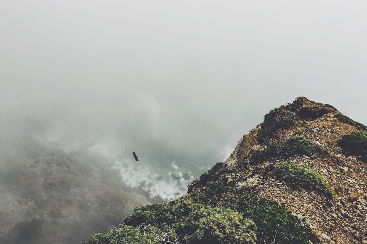 Est debitis tempore laboriosam pariatur modi