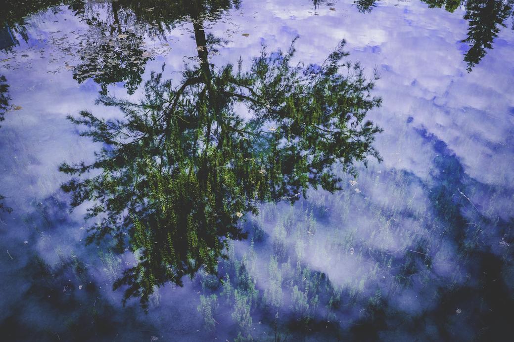 Quidem alias voluptatem alias aut