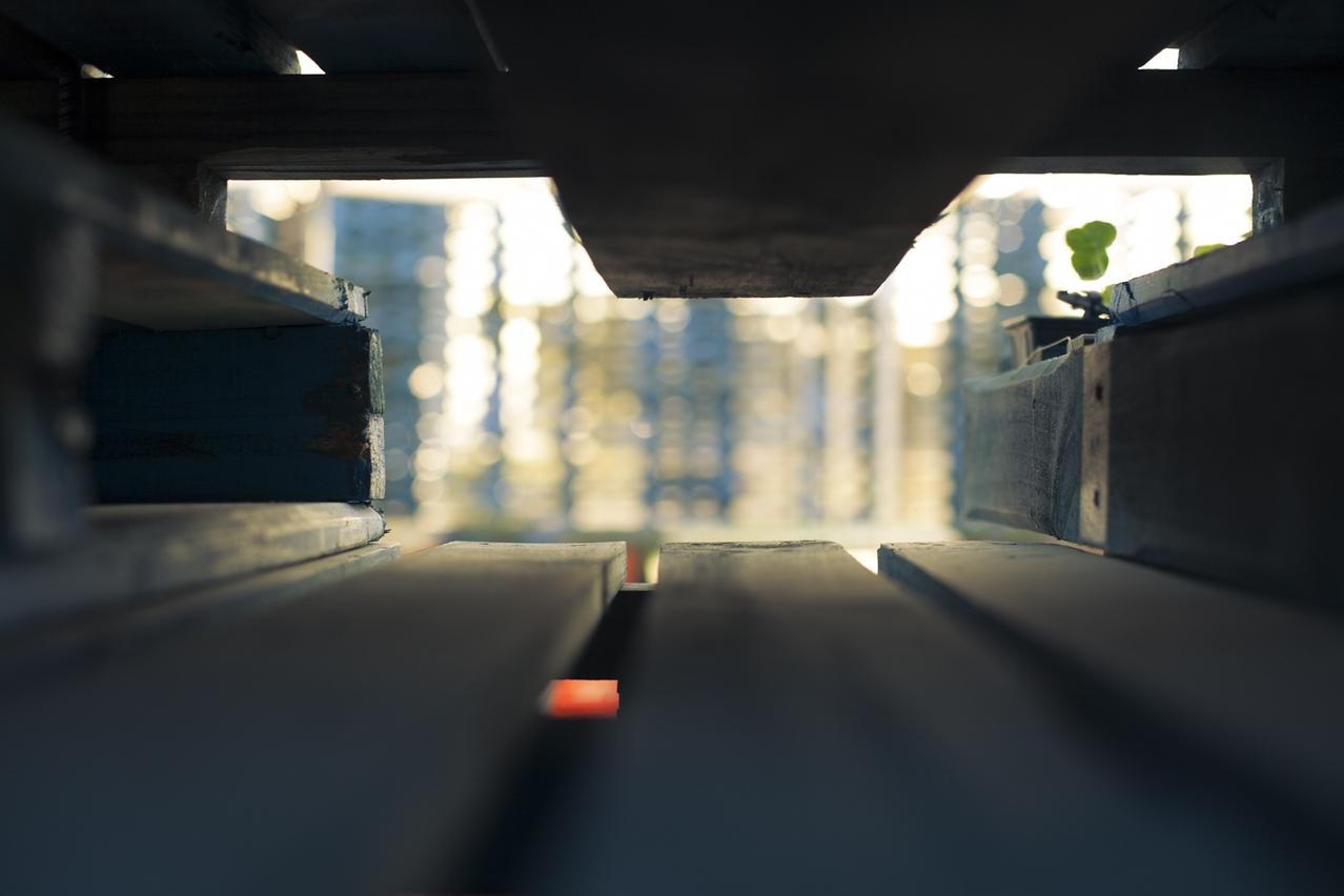 Veniam et ea ut quis