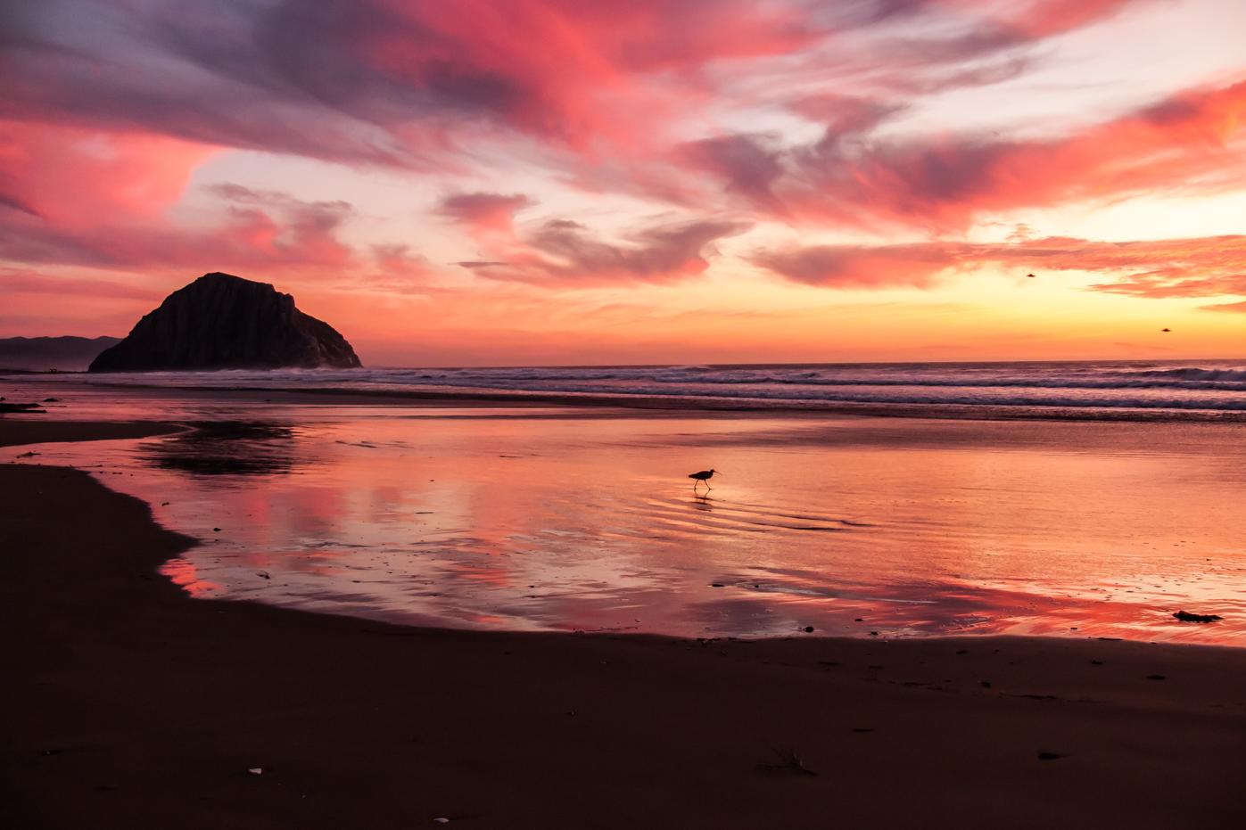 Itaque qui rerum officia sit ad