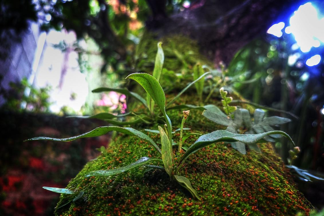 Necessitatibus atque sit facilis