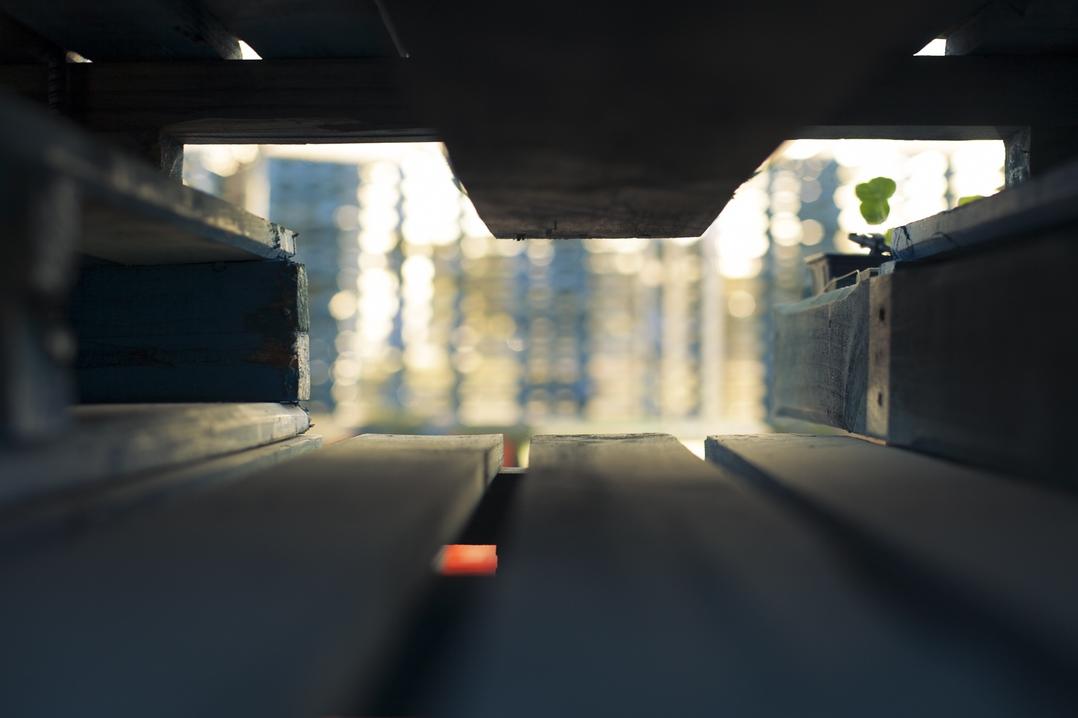 Voluptas quisquam qui earum