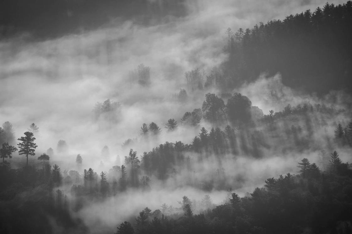 Blanditiis similique neque qui harum nihil