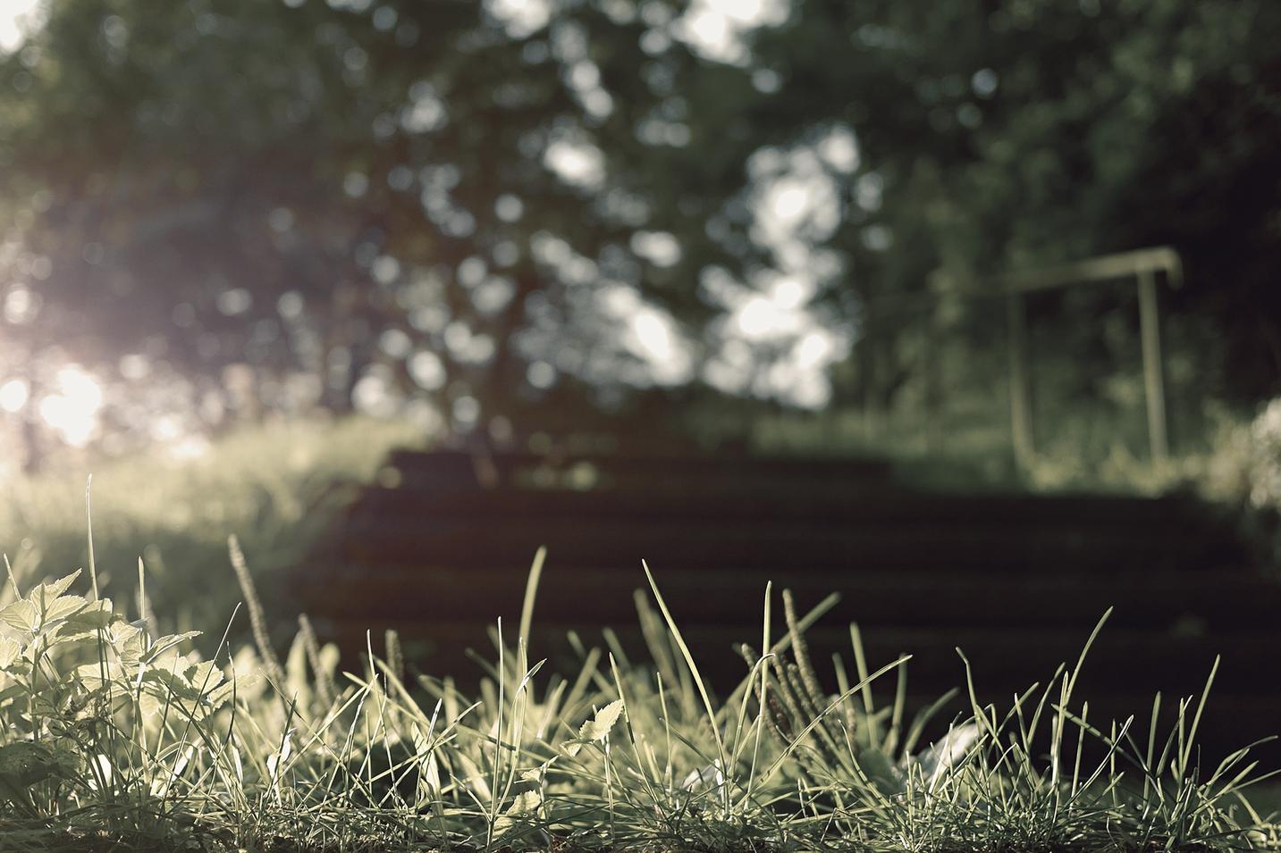 Et voluptatem totam non