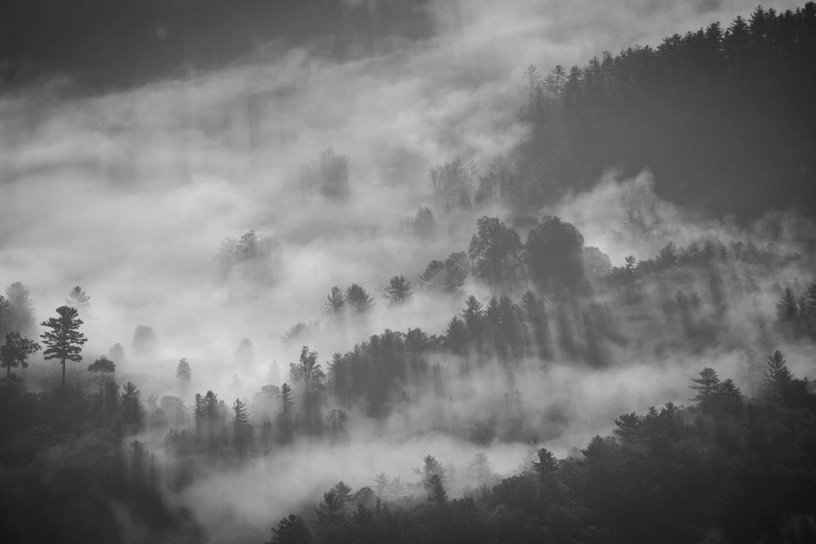 Vitae voluptatibus et rerum numquam rerum dolore