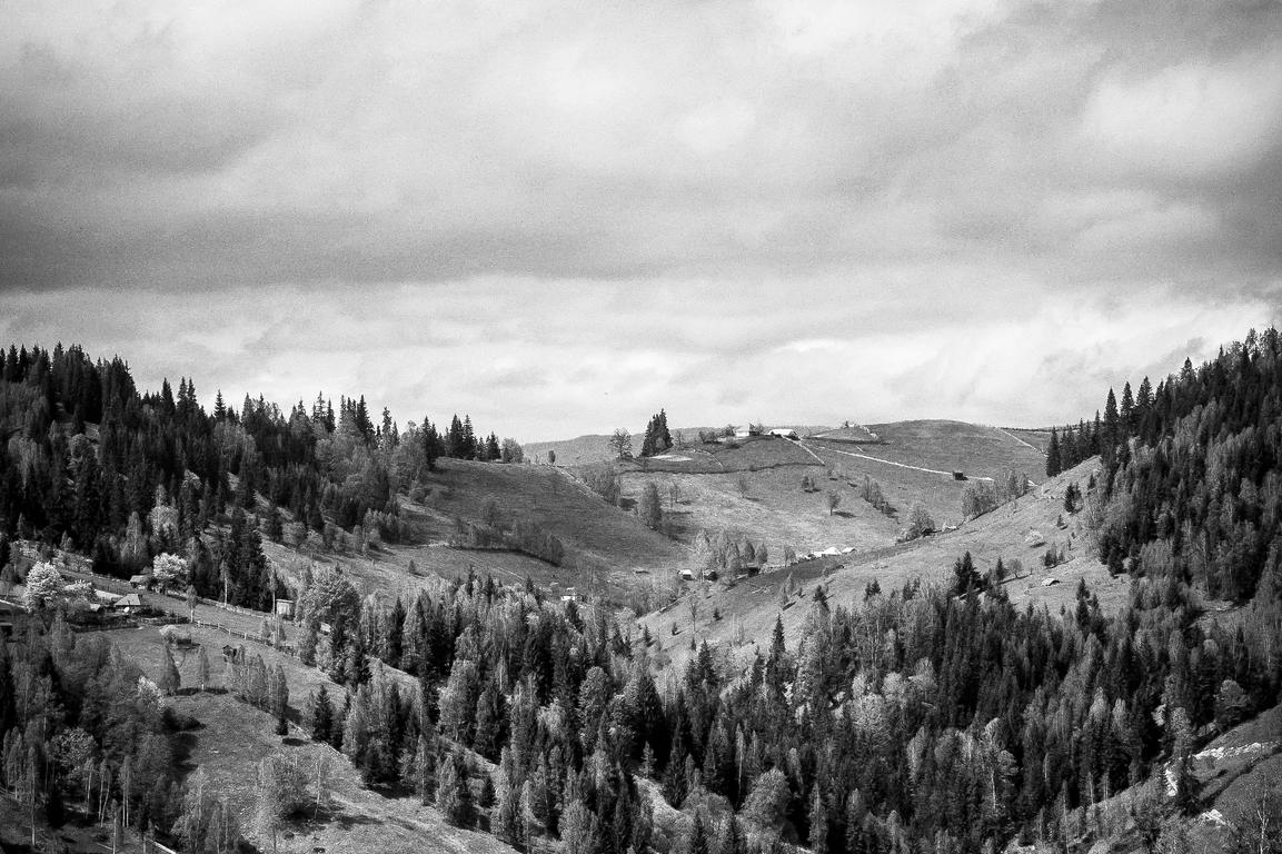 Qui cupiditate officia