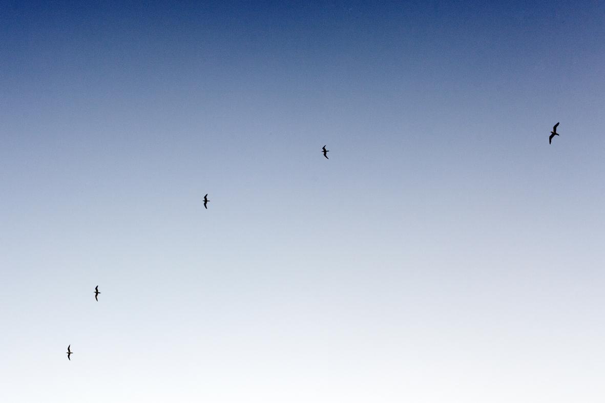 Deserunt aut iure fugit ut